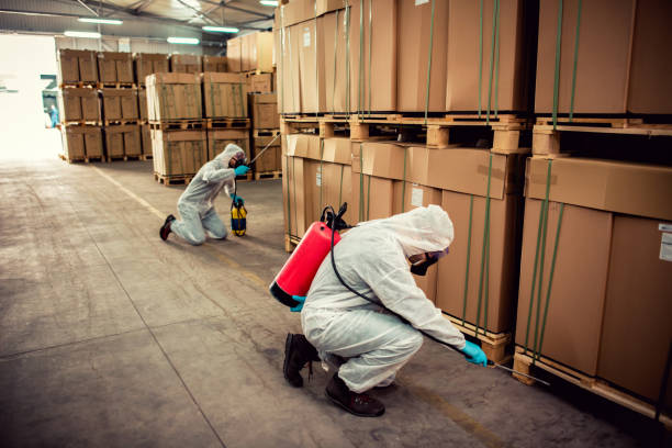 Best Exterminator Services  in Monroeville, IN