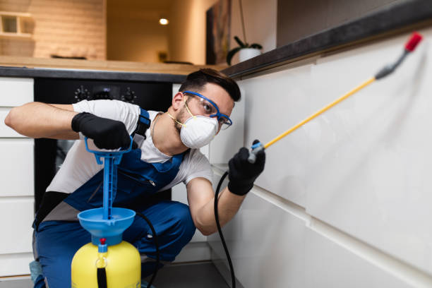 Best Ant Control Services  in Monroeville, IN