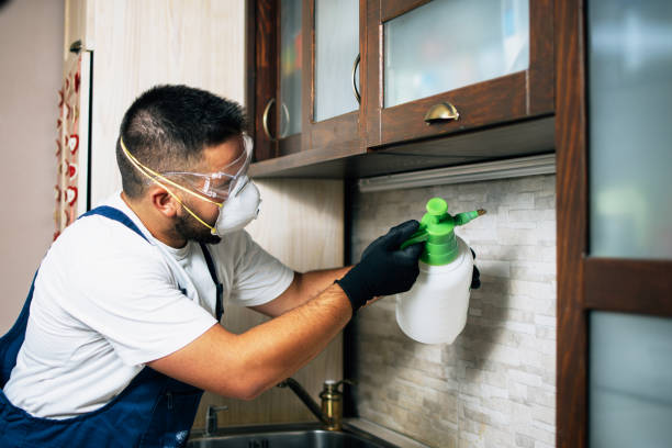 Best Residential Pest Control  in Monroeville, IN