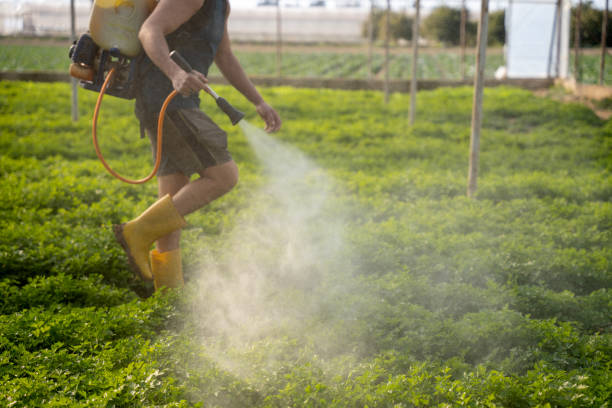 Best Pest Control for Restaurants  in Monroeville, IN