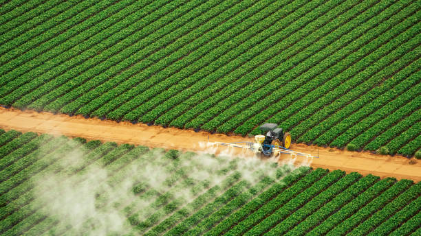 Best Commercial Pest Control Services  in Monroeville, IN